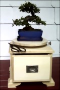 drehtisch_m_bonsai-medium-2.jpg